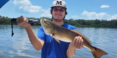 Tampa Bay Fishing Trips -  4 Hour Afternoon Excursion