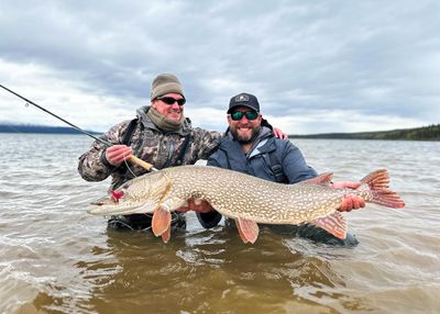 Alaska Charter Fishing | Ultimate Fishing and Bear Viewing Package (September 1 to September 29)