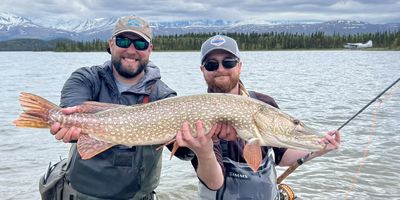 Charter Fishing Alaska | Ultimate Fishing and Bear Viewing (August 4 to September 1)