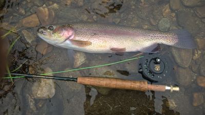 Black River VT Trophy Section