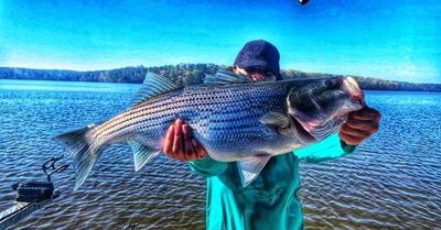  Clarks Hill Lake Striper Fishing | 6 Hour Adventure Small Group