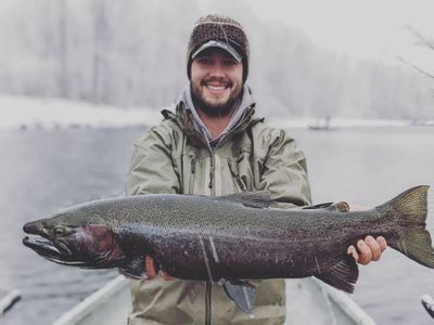 Winter Steelhead