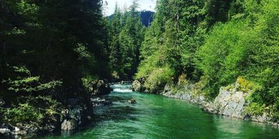 Vancouver Island Fishing Packages | Cowichan River Salmon, Trout or Steelhead Charter Package