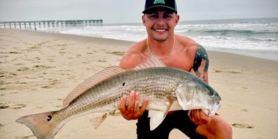 Bay Fishing Charters In Virginia Beach | 6 or 8 Hour Trip