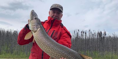 7 Day Yukon Fishing Trip