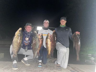 2 or 4 Hour Bow Fishing Trips-Ramsey, Minnesota