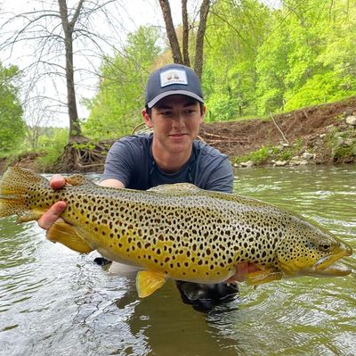 Trout Fishing in Georgia