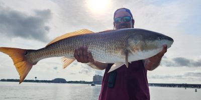 Okaloosa Inshore Fishing Trip