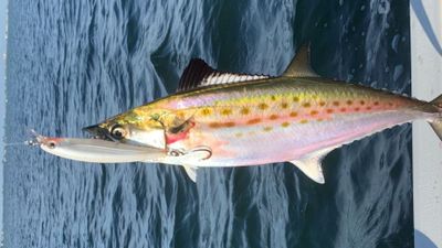 Private Half-Day Fishing Trip | AM