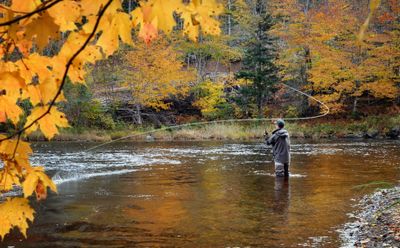 Sebago Lake Fishing | 6 Hour Charter Trip