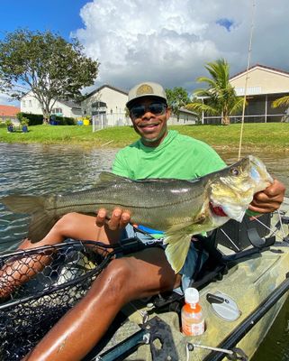 West Palm Beach, FL  Night Time Dock Light Snook Trip