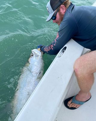 St. Petersburg, FL 8 Hour Tarpon Trip