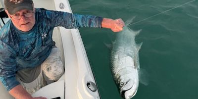 Fishing Charter Islamorada | 4 Hour Tarpon Fishing Trip