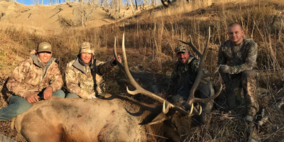 Wyoming Elk Hunting Adventure - 7-Day All-Inclusive Trip