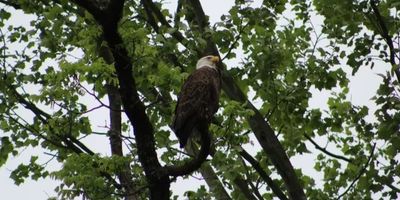 Guided Trip in Branson