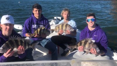 4-Hour Inshore Fishing in the Gulf Coast