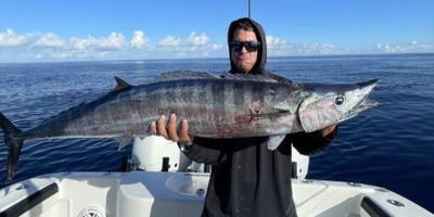 Marathon Fishing Charters - 4 Hours Reef/Wreck Fishing TO Full Day Offshore Adventure!