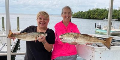 Tampa Bay Fishing Charters | 2 Hours Inshore Fishing Escapade.