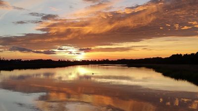 DOLPHIN AND SUNSET CRUISES IN SAVANNAH, GEORGIA