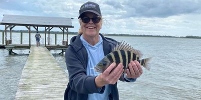 Fishing Charters Folly Beach | Light Fishing & Beach Scavenging Trip