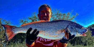 Folly Beach Fishing Charter | Half Day Inshore Fishing Trip