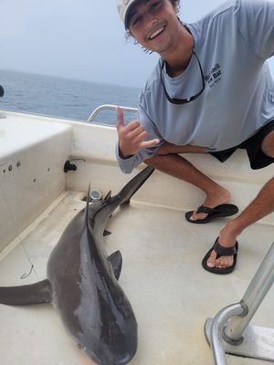 Santa Rosa Beach, FL 5 Hour Shark Fishing Adventure