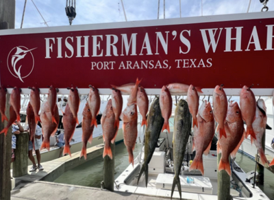 Port Aransas Fishing Charters