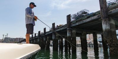 Best Bay Fishing Charter in San Diego