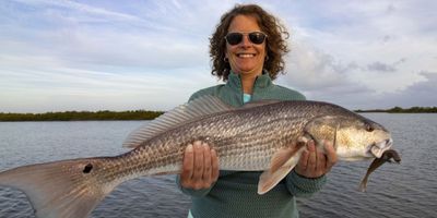 Mosquito Lagoon Sight Fishing Trip