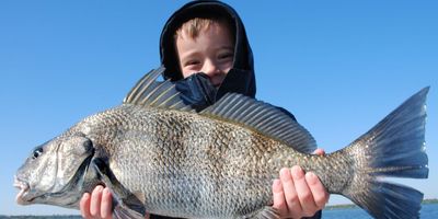 Mosquito Lagoon Full Day Sight Fishing Trip