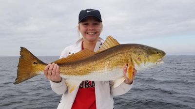 Get Hooked on Adventure: Morning Inshore Fish Trip in Orange Beach 