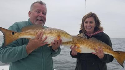 Reel in Adventure: Orange Beach's 4 Hour Inshore Fishing Trip