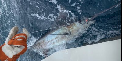 Cape May Fishing Trips | 12 Hour Trip – Swordfish