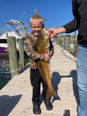 4-Hour Afternoon Fishing in Orange Beach