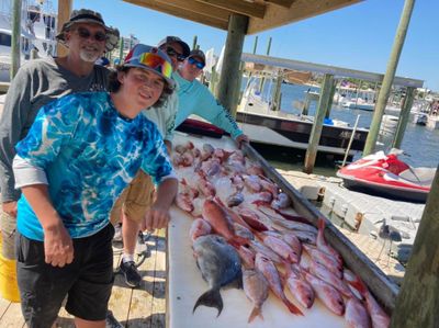 5-Hour Afternoon Trolling/Bottom Fishing in Orange Beach, AL