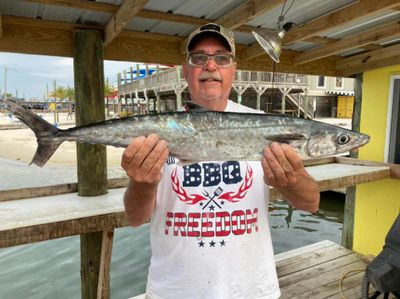 6-Hour Trolling/Bottom Fishing in Orange Beach, AL