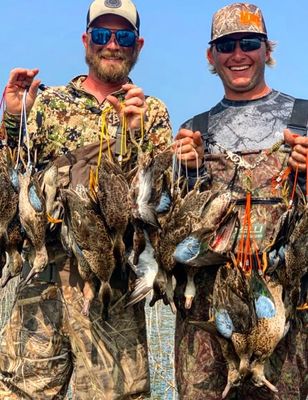 Teal Hunting Texas