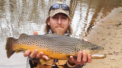 6 hour Fly Fishing Trip - Travelers Rest, SC