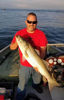 LONG ISLAND SOUND, CONNECTICUT - STRIPED BASS