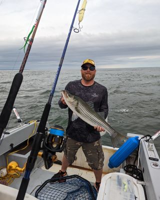 LONG ISLAND SOUND, CONNECTICUT - STRIPED BASS