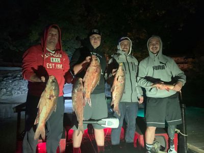 Bowfishing