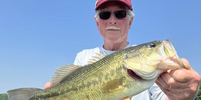 WI Fishing Guides