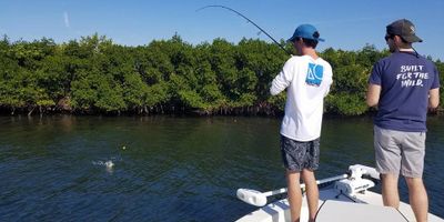 Tarpon Fishing Charter