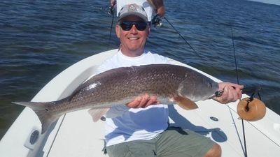 Inshore Charter Rates