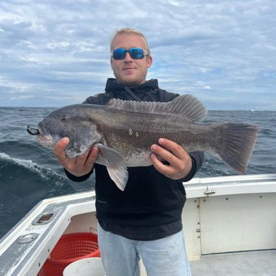 Belmar, NJ Tautog Trip (November to January)