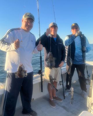 Belmar, NJ Sea Bass Trip (May to June)