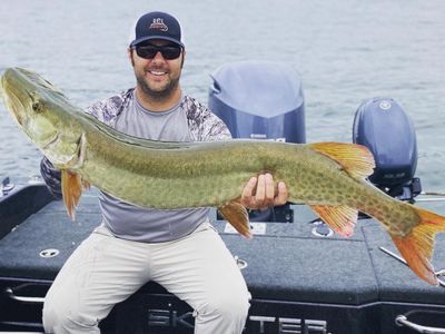 Lake Minnetonka Guided Musky Trip - Early Summer 