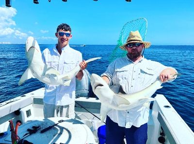 Fishing New Smyrna Beach | 4 to 6-Hour Bottom or Offshore Trip