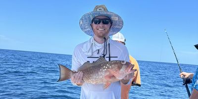 Clearwater Full Day Fishing