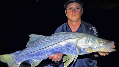 FL Fishing Charters - Bioluminescence